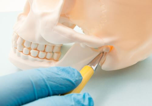 Dentist showing the TMJ.